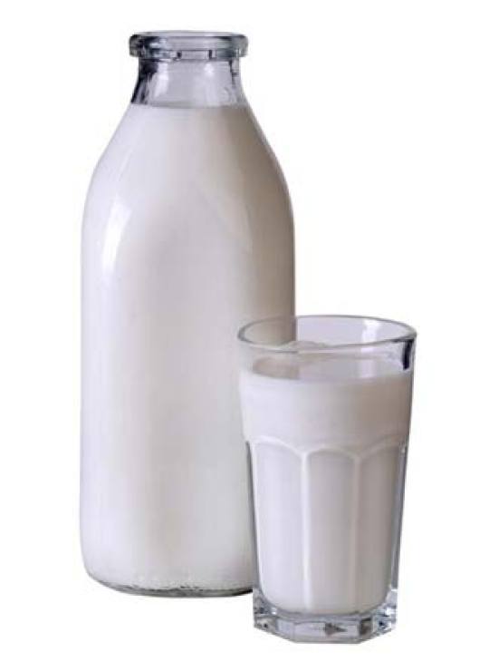 Молоко оптом