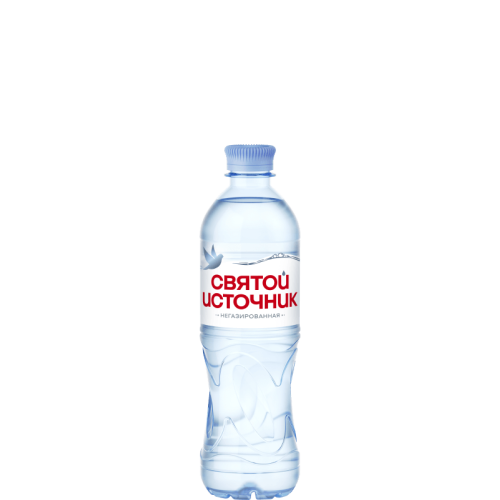 Святой Источник 0,5х12 без газа