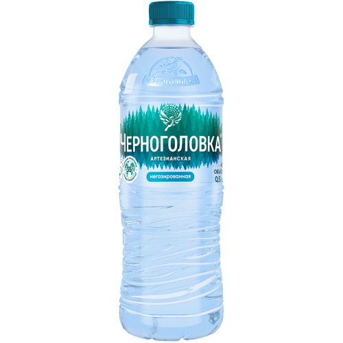 Черноголовка ВОДА 0,5х12 без газа