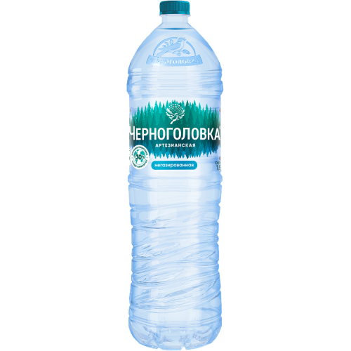 Черноголовка ВОДА 1,5х6 без газа